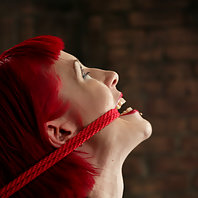 Kory Vixen is subject to the ropework of Thane.