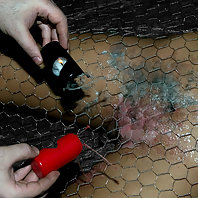Trina Michaels gets stapled to the floor for hot wax fun.