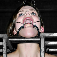 Bobbi Starr suffers in severe steel endurance bondage cage.