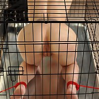 Naked slut tied up in a cage