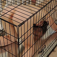 Tight slut is caged and bound