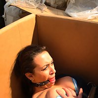 Busty Erika bound ballgagged tit-grabbed in a box